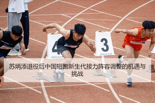 su-bing-tian-tui-yi-hou-zhong-guo-duan-pao-xin-sheng-dai-jie-li-zhen-rong-tiao-zheng-de-ji-yu-yu-tiao-zhan-2-733.jpg