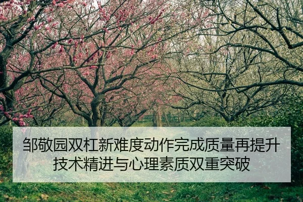 邹敬园双杠新难度动作完成质量再提升 技术精进与心理素质双重突破