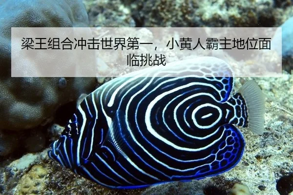 梁王组合冲击世界第一，小黄人霸主地位面临挑战