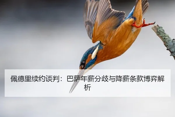pei-de-li-xu-yue-tan-pan-ba-sa-nian-xin-fen-qi-yu-jiang-xin-tiao-kuan-bo-yi-jie-xi-2-528.jpg