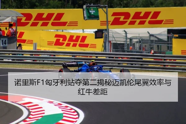 nuo-li-si-xiong-ya-li-zhan-duo-di-er-jie-mi-mai-kai-lun-wei-yi-xiao-lv-yu-hong-niu-cha-ju-2-822.jpg