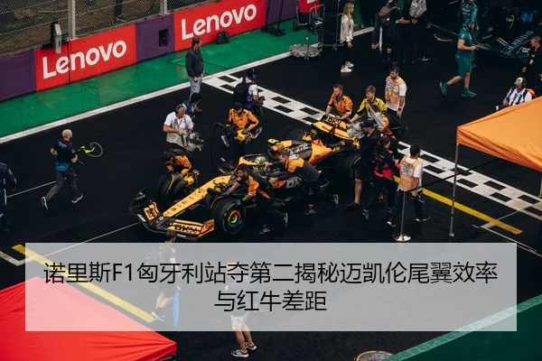 nuo-li-si-xiong-ya-li-zhan-duo-di-er-jie-mi-mai-kai-lun-wei-yi-xiao-lv-yu-hong-niu-cha-ju-3-664.jpg