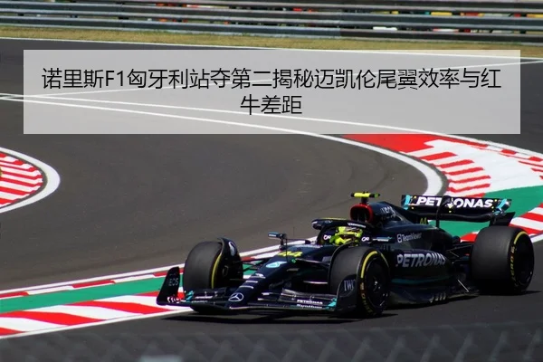 诺里斯F1匈牙利站夺第二揭秘迈凯伦尾翼效率与红牛差距
